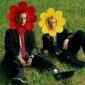 Lukas Mondlicht veröffentlicht Debut-Single „schöne blüten" – Stillstand als Sound