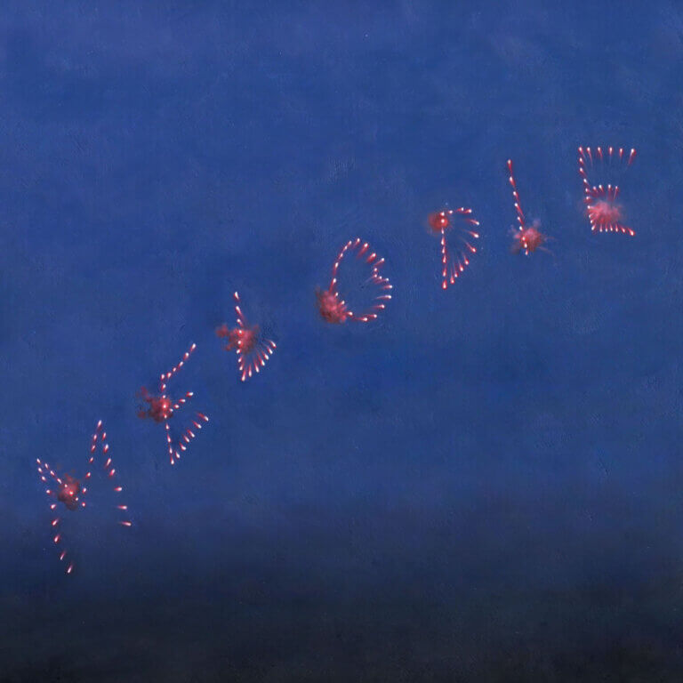 Slow Pulp – Melodie